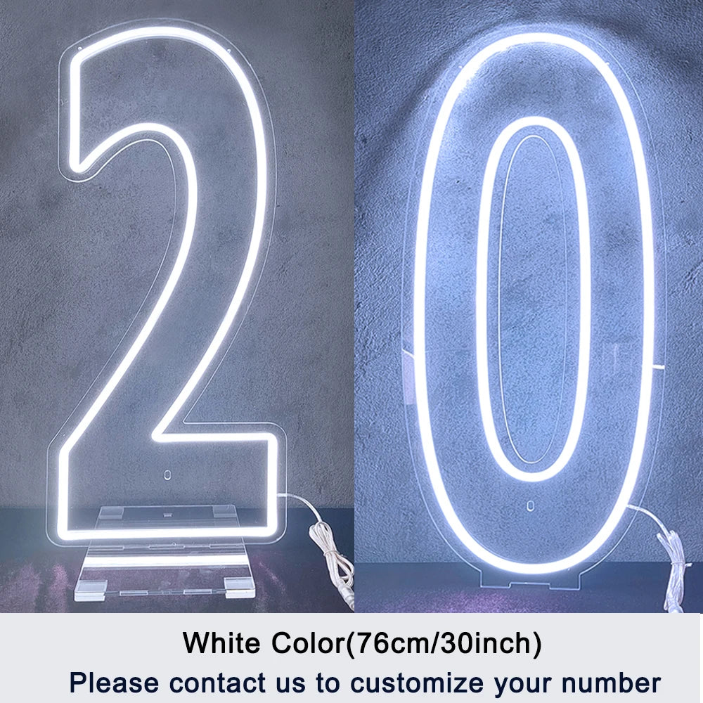 LED Neon Number Sign for Weddings | Customizable Event Lighting 76-100cm number 20 China Mainland Tidesmit