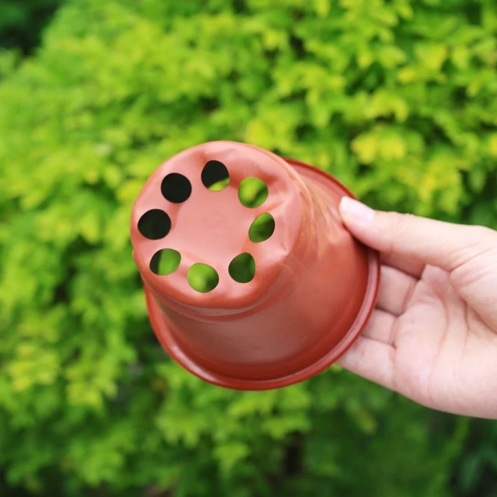 100-20PCS Plastic Nursery Pots With Holes Garden Succulents Cuttings Transplanting Pot Reusable Seedling Flower Plant Containers