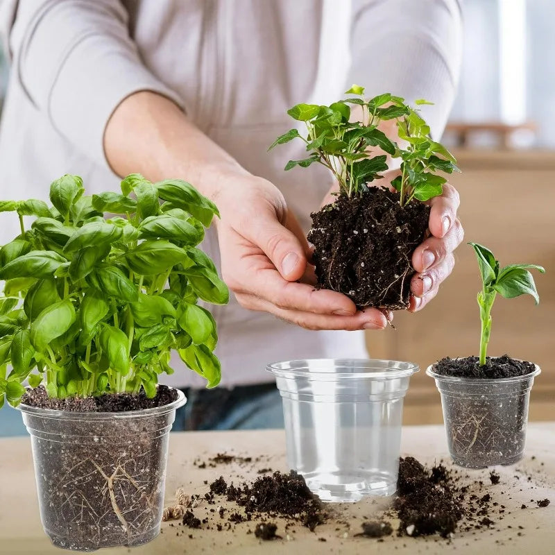 Transparent plant nursery cup with dark soil and a small seedling, held in hands