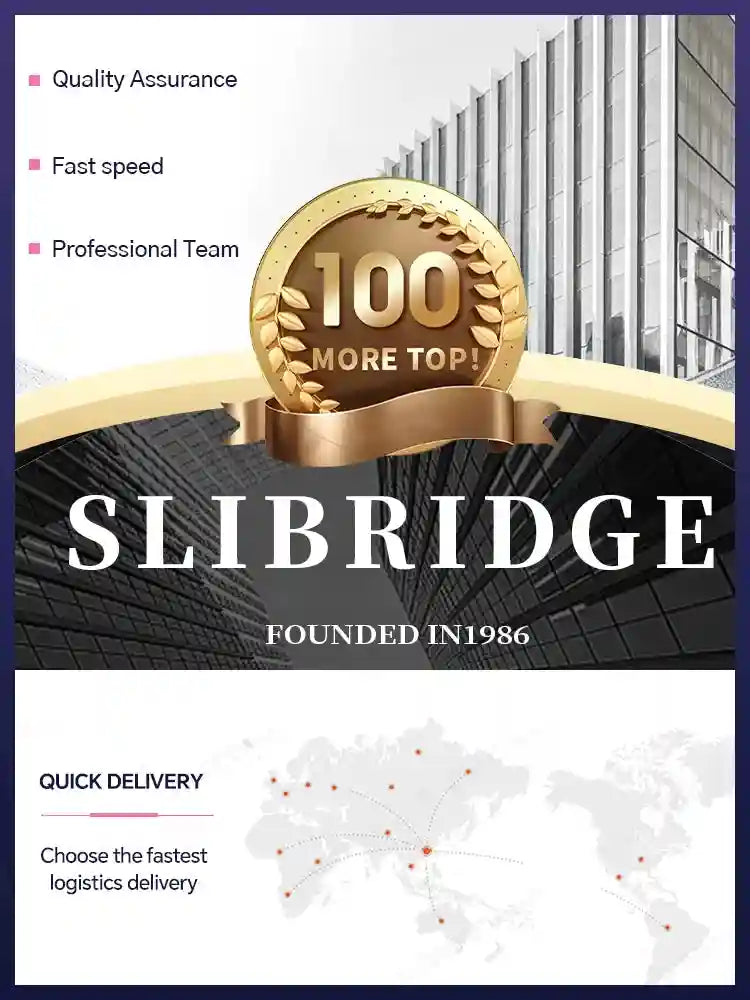 A promotional graphic for Slibridge, featuring a gold badge with "100 MORE TOP!", modern buildings, and a world map.