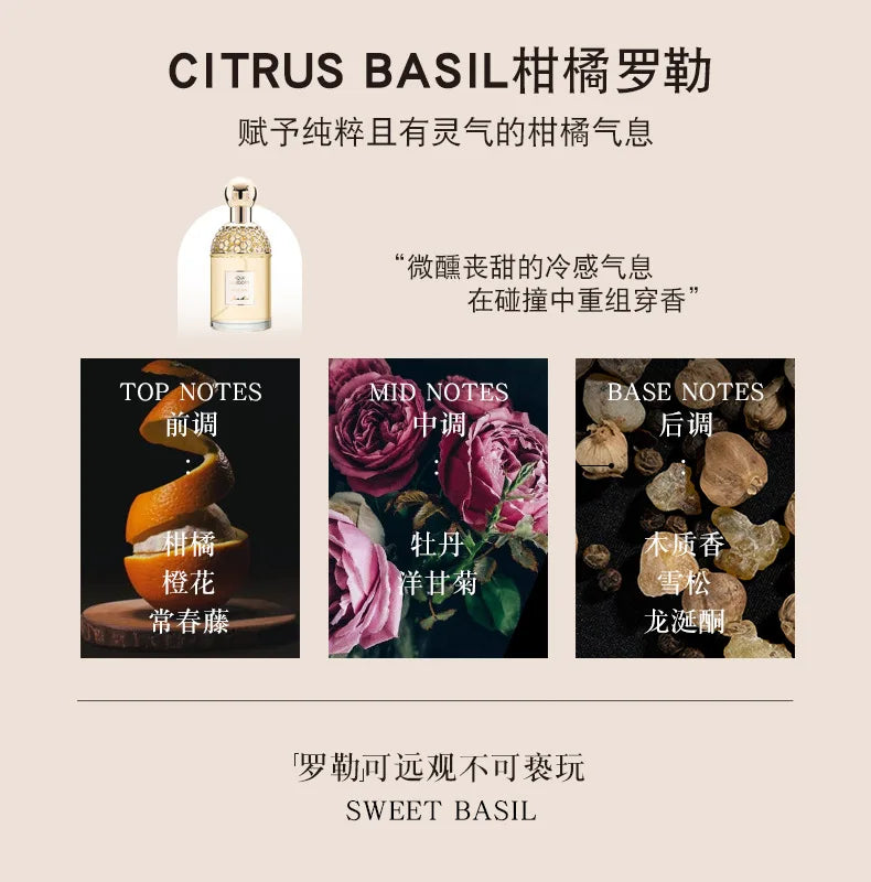 Citrus Basil perfume in a glass bottle with gold honeycomb detailing, featuring citrus, peony, and woody fragrance