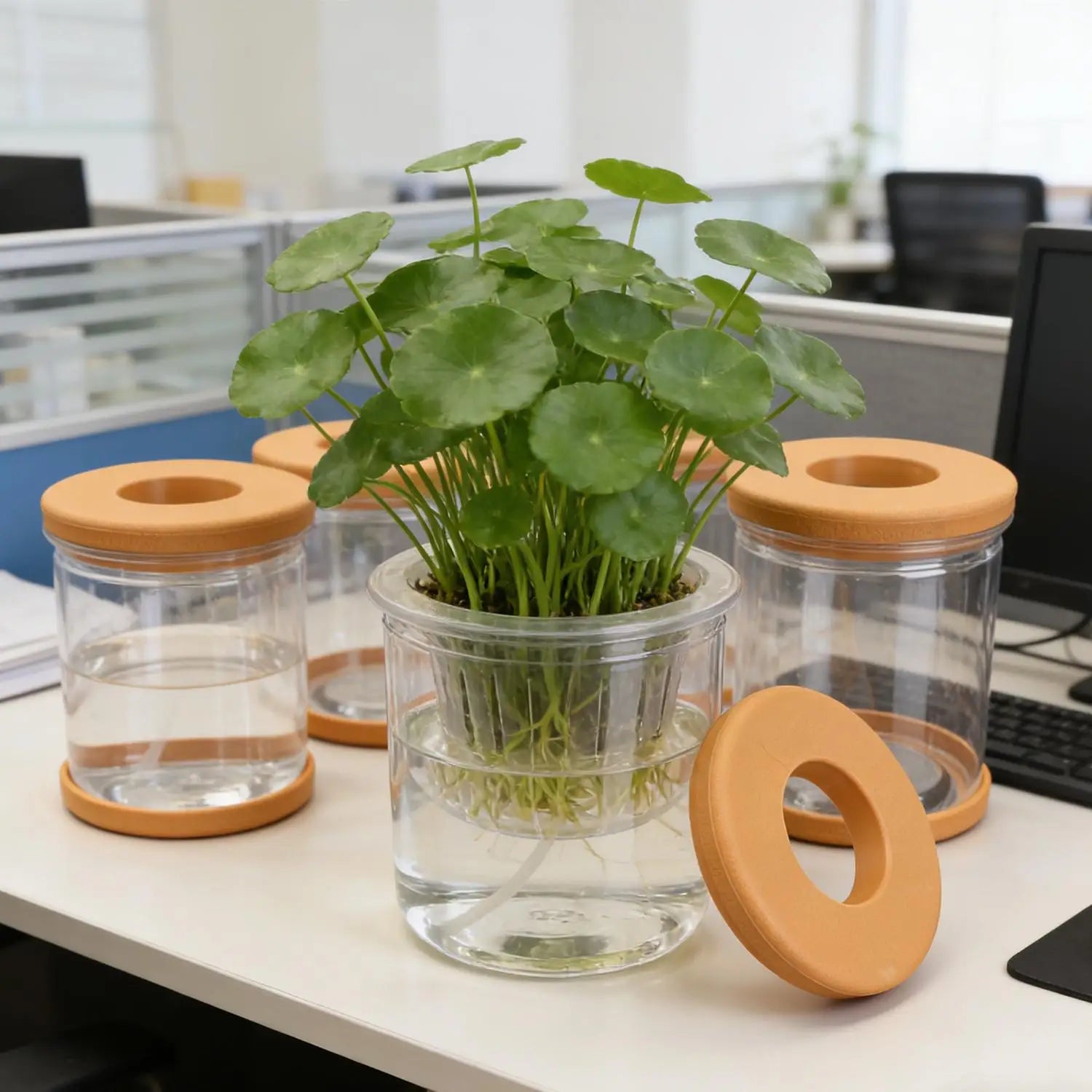 5/1PCS Transparent Hydroponic Flowerpot Hydroponic Plant Container with Soft Stopper Non Slip Bottom Home Office Gardening Pots