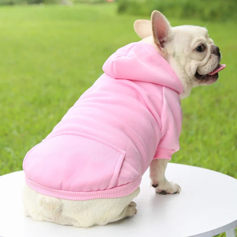 French bulldog wearing a warm, pink hooded sweater for small dogs. Thick, cozy autumn and winter casual pet apparel.
