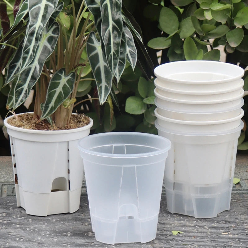 Self-watering plant pot set with clear inner cup and white outer planters