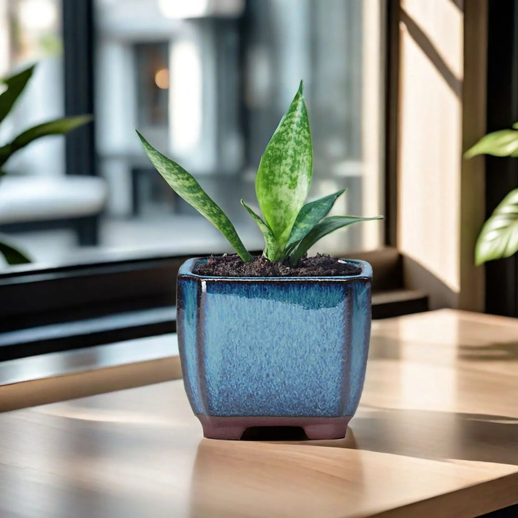 Ceramic Succulent Flower Pot with Vent Design Easy to  for Indoor and Outdoor Plants