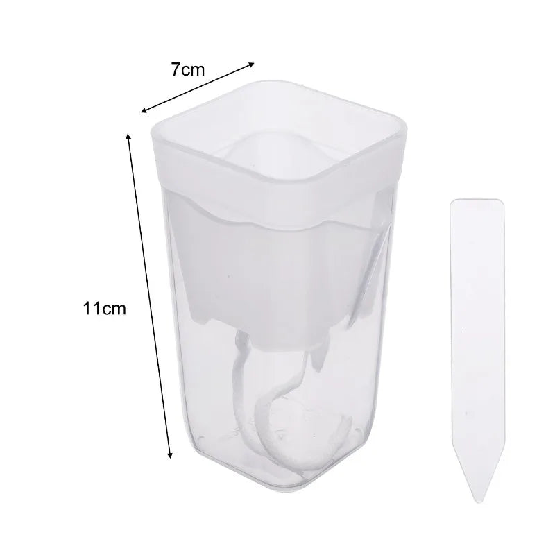 Front view clear double-layer self-watering planter cup size 7cm x 11cm