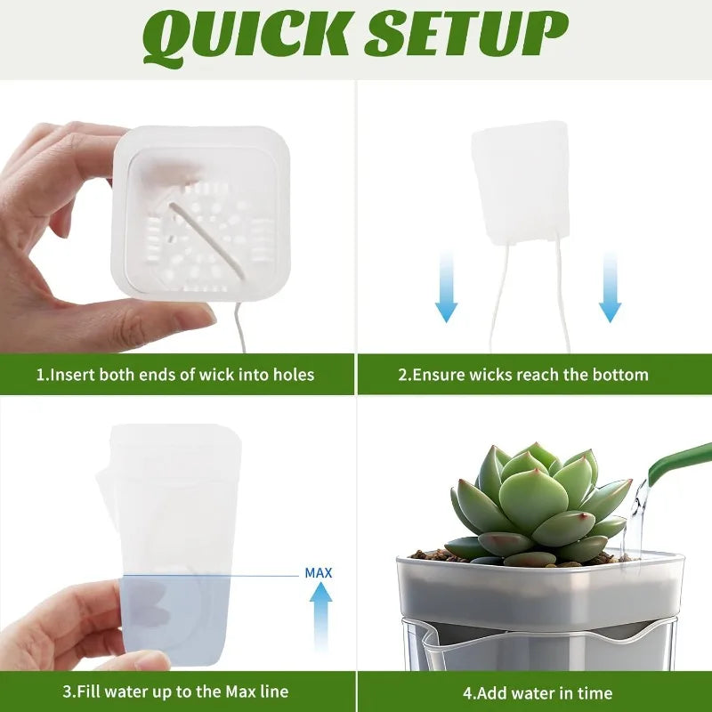 Transparent self-watering pot diagram showing wick insertion and filling steps