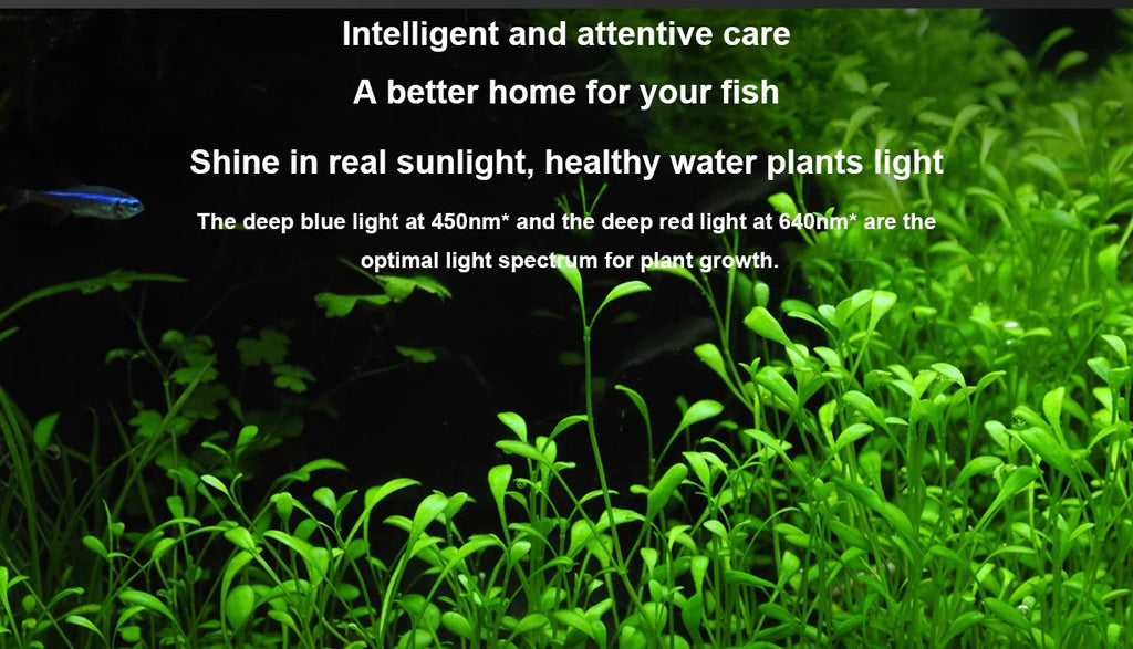 NEW MIJIA Smart Fish Tank Work With Mijia APP Mobile Controlled Remote Feeding Smart Lighting System Light Aquarium 20L-CN