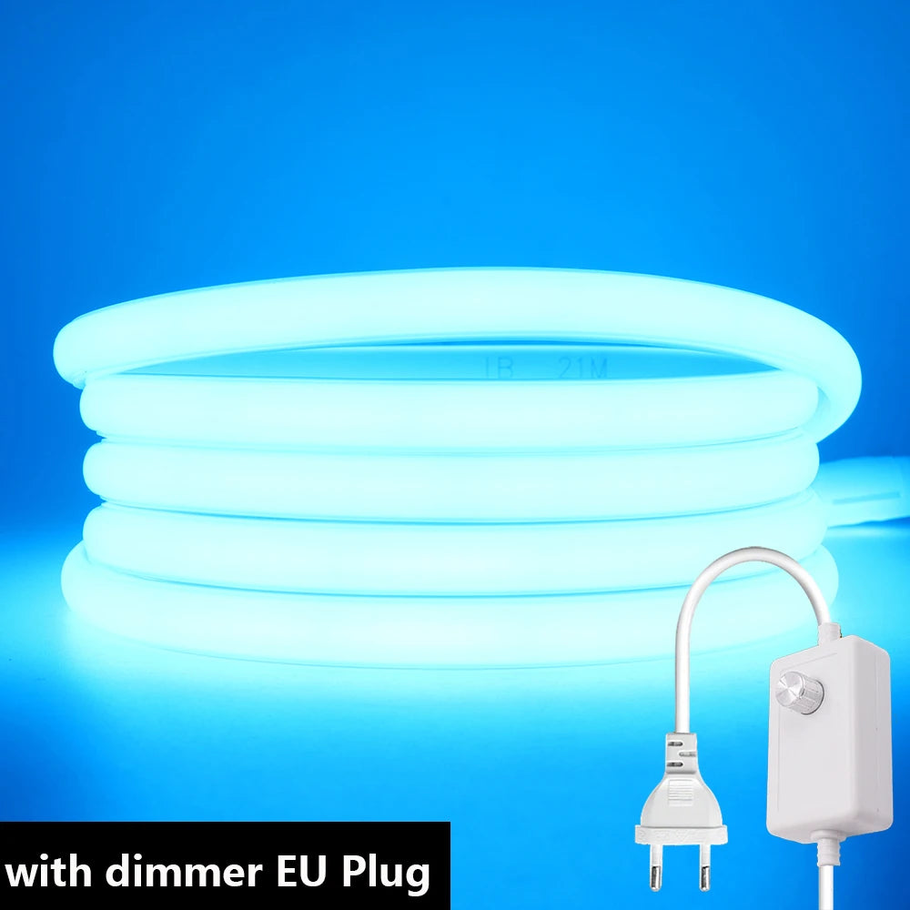 Dimmable LED neon strip with EU dimmer plug, ice-blue glowing flexible loops