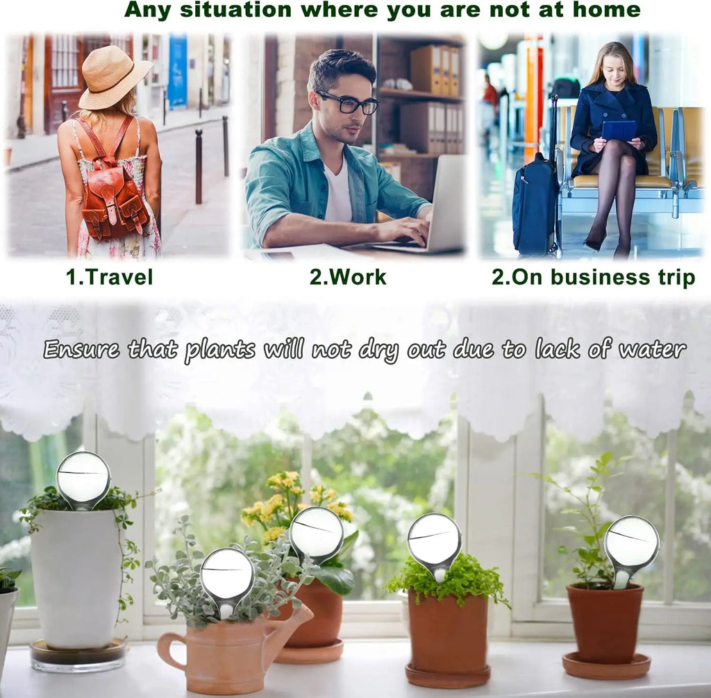 Transparent plant watering globes used with potted plants indoors or outdoors
