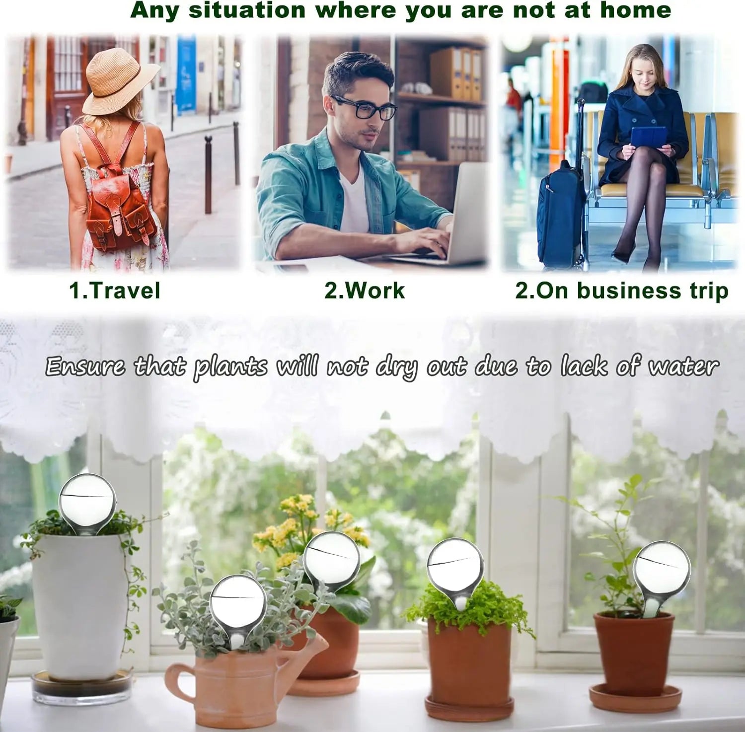 Transparent plant watering globes used with potted plants indoors or outdoors
