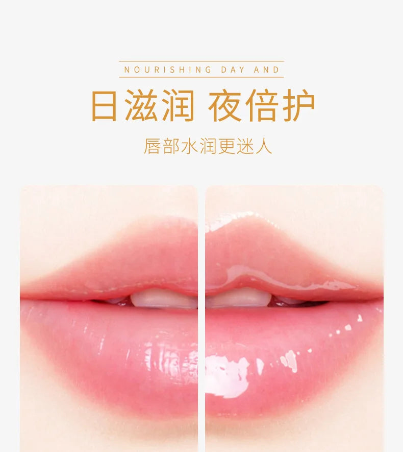Moisturizing Lip Balm Jelly by Tidesmit – Cruelty-Free Lip Care Treatment Lip Care Tidesmit