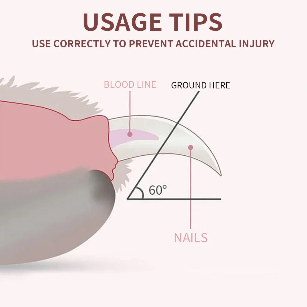 Diagram showing safe 60-degree angle for using dog nail grinder to trim pet claws without hitting the blood line.