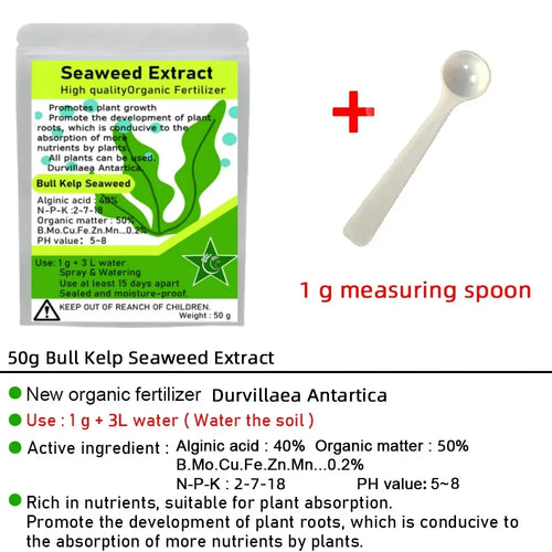 The provided image is for Bull Kelp seaweed fertilizer, not a mushroom adaptogen. As such, no mushroom alt text applies.
