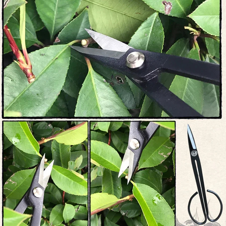 Pruning scissors in use on dense green foliage, long black handle and blades