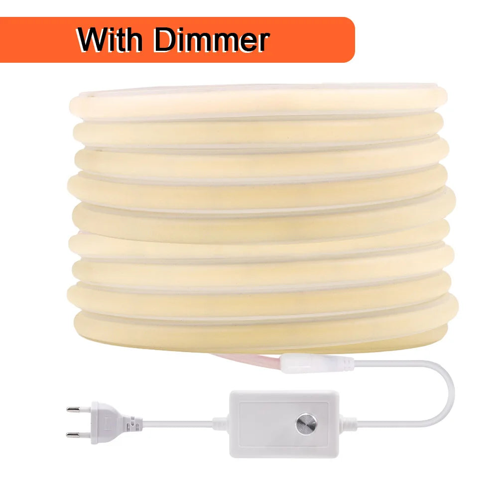 LED neon strip light with dimmer power, coiled flexible strip and inline dimmer box