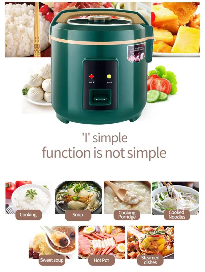 3L 24V portable rice cooker, teal exterior with lid and cook/warm control panel