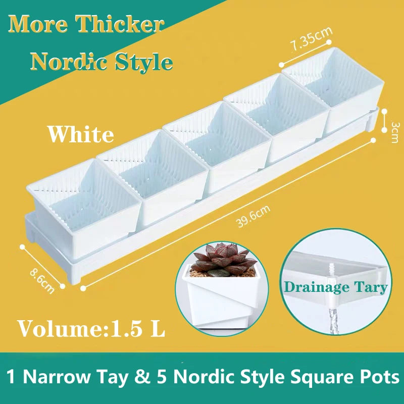 White drainage tray with five small ribbed square succulent pots and divided compartments