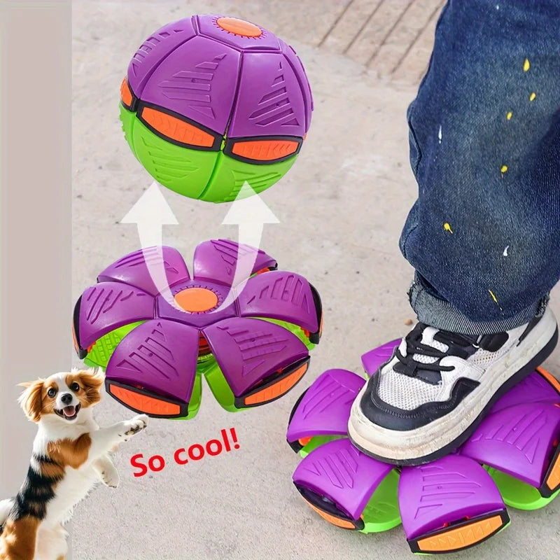 Durable purple and green plastic UFO dog ball toy for interactive training and fetch play.