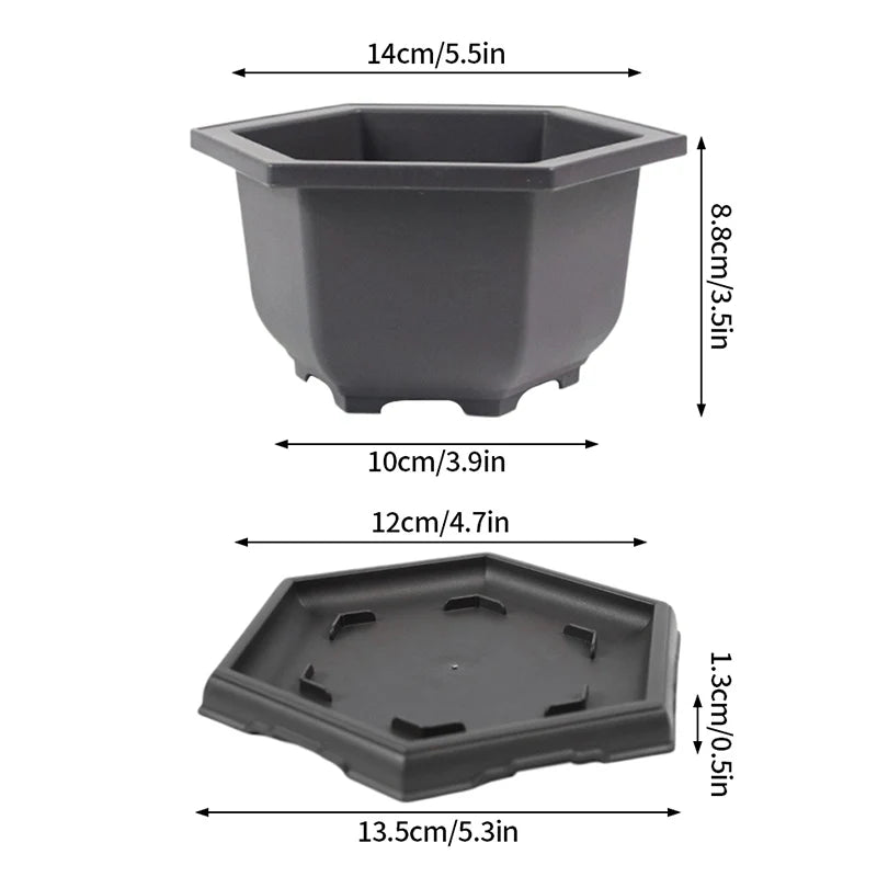 Small gray-black planter pot with base tray, for succulents or bonsai