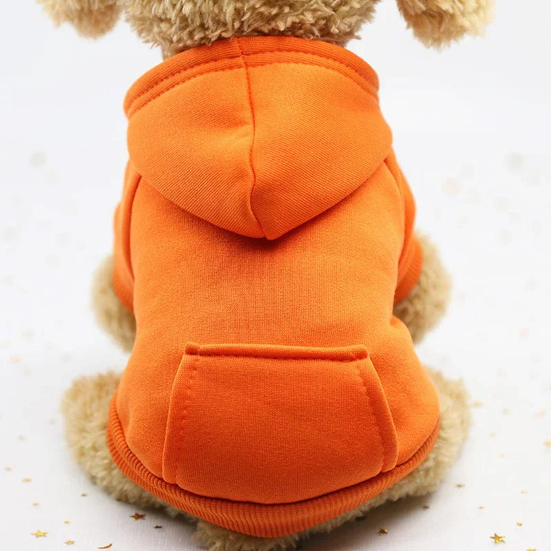 Small dog wearing a cozy, thick orange two-feet hoodie sweater for warm autumn and winter pet fashion.