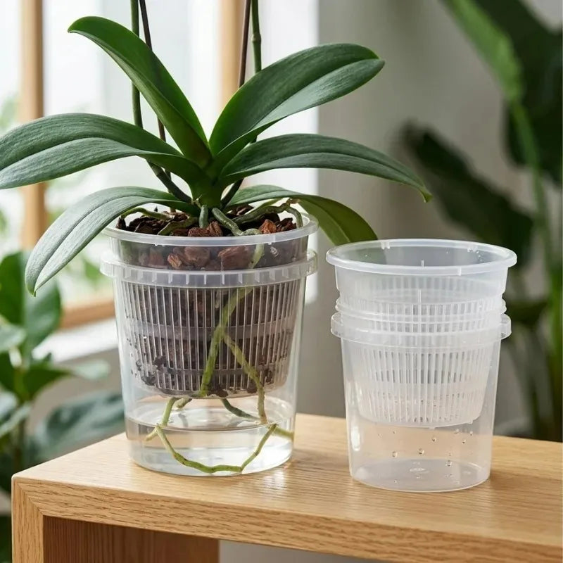 Pair of clear self-watering orchid pots with inner mesh baskets on a wooden surface