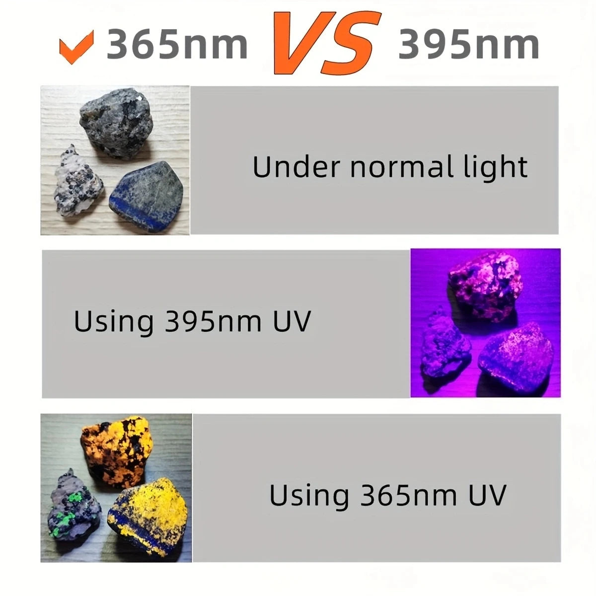 3-in-1 USB rechargeable UV flashlight showing 365nm vs 395nm light for detecting pet urine stains and minerals.