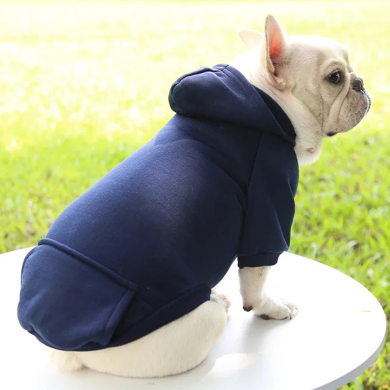 Small dog wearing a cozy navy blue hooded sweater, perfect for thickening warmth in autumn and winter weather.