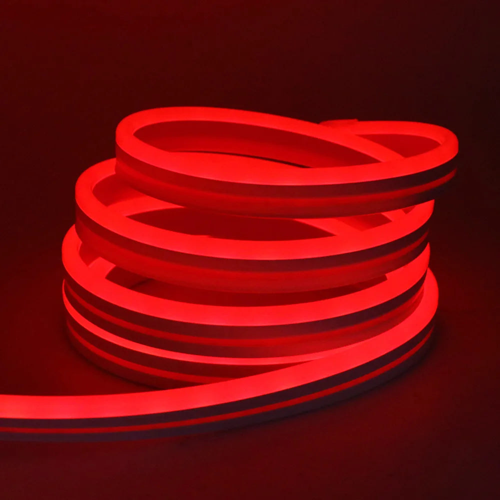 RGB Neon Light LED Rope Light Waterproof APP Remote Control Music Sync 24V Flexible DIY Silicone Strip Light for Indoor Outdoor