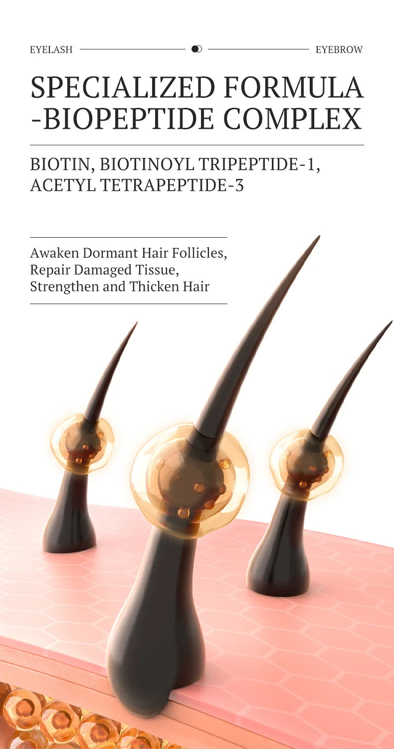 3D diagram of biopeptide eyelash and eyebrow growth serum strengthening hair follicles for thicker, longer lashes.