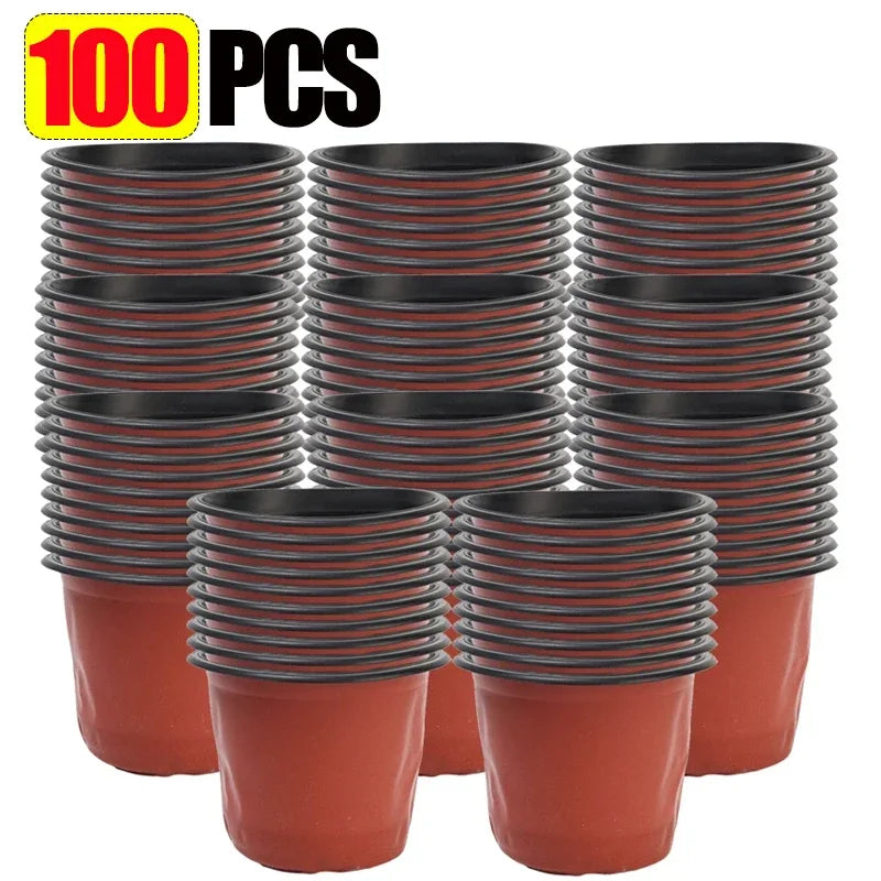 Tray of red plastic nursery pots with black rims for seedling transplanting