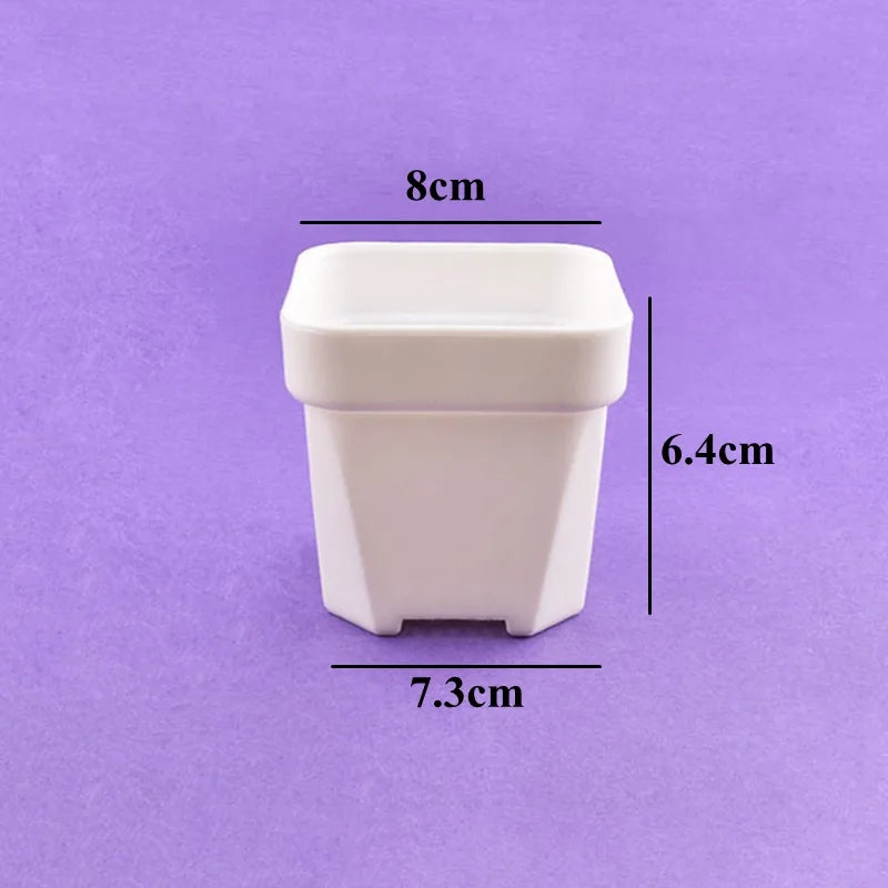 White square succulent planter pot; dimensions 8 cm width and 6.4 cm height shown