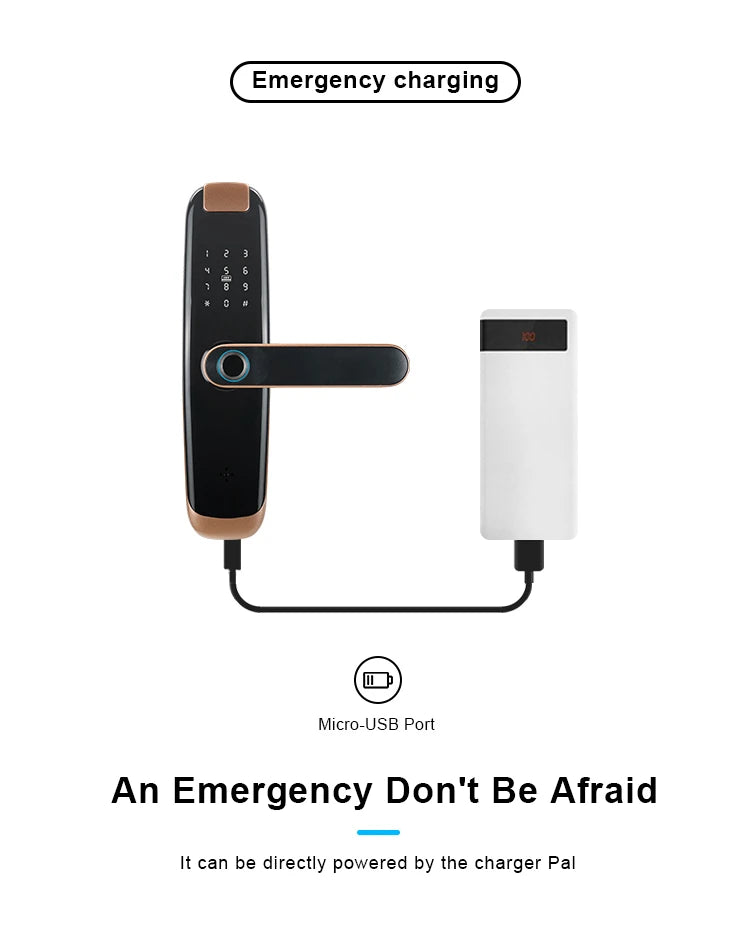 TUYA APP Compatible Smart Life App Unlock Smart Door Lock for Home Wood Door with Fingerprint Handle Combination Rfid Card