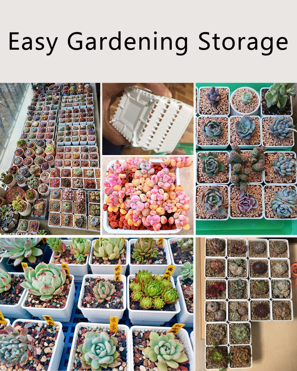 Stacked garden storage trays filled with succulent pots, showing perforated root-control inserts