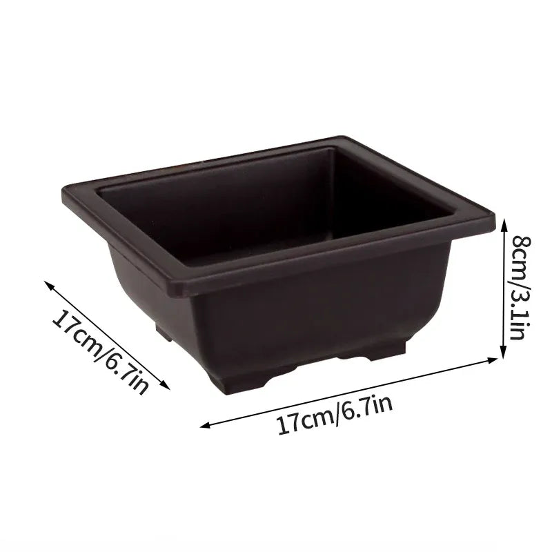 Square bonsai planter pot in dark plastic, open top with sturdy molded corners