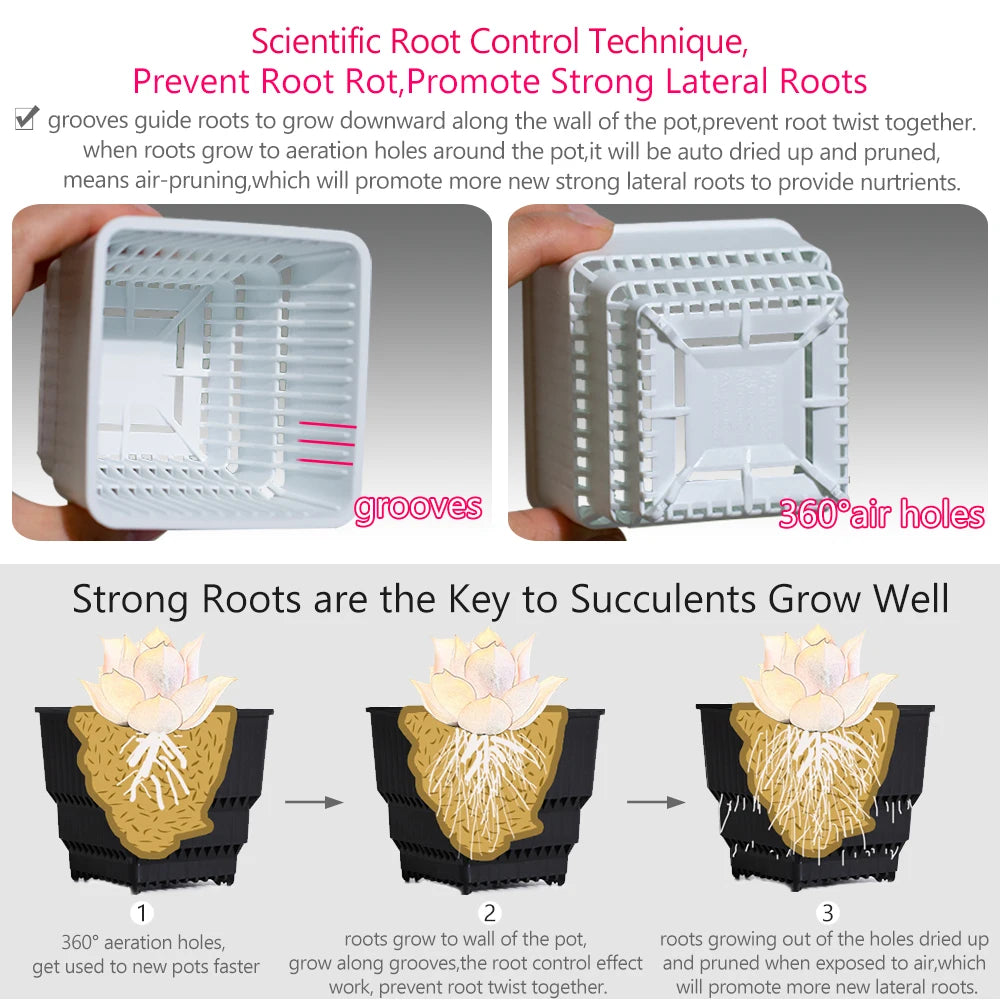 White root-control pot tray insert with internal grooves and 360 air holes for roots