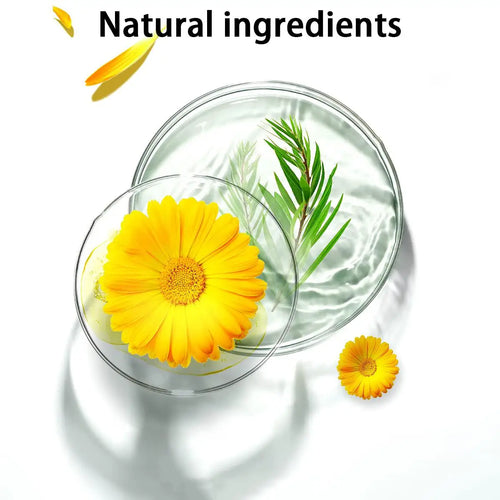 Tea tree oil and flower ingredient illustration in a glass dish for acne patches