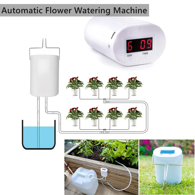 Automatic plant watering system: white timer controller with drip tubing to potted plants