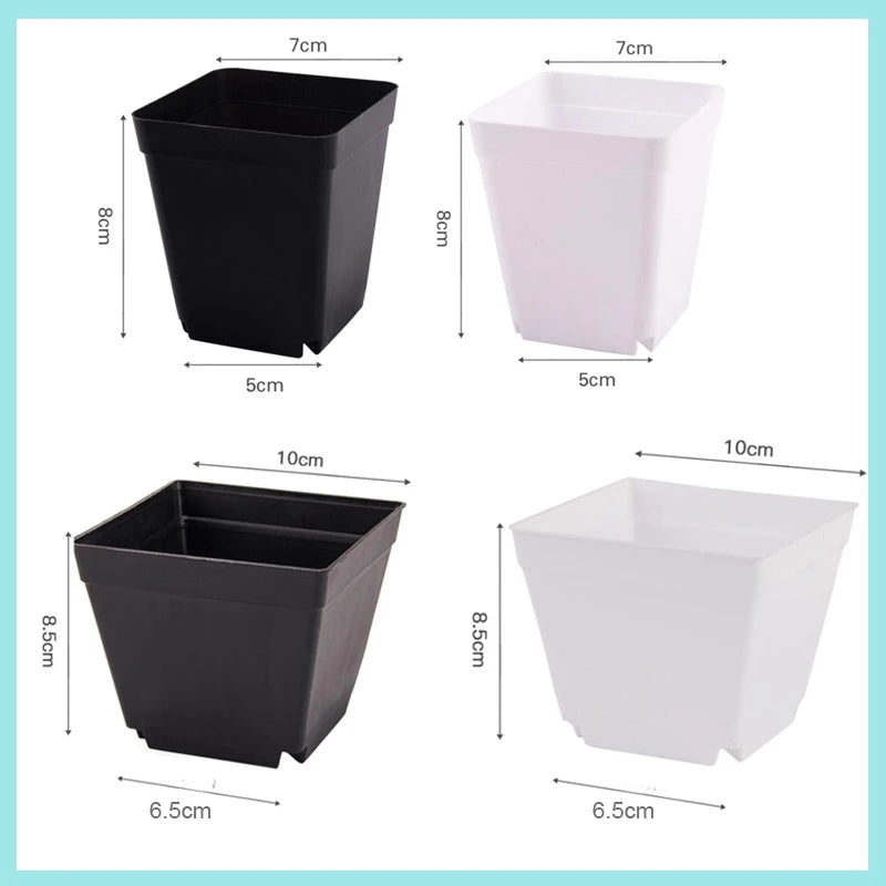 Mini square planter pots, black and white; 5cm width, 8cm height (approx.)