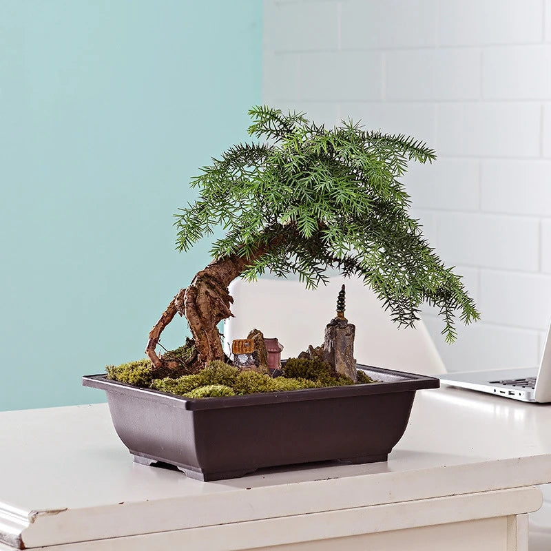 Garden Landscape Bonsai Tray Square Rectangular Flowerpot Succulent Plant Flowerpot Bonsai Pot Small Potted Gardening Supplies