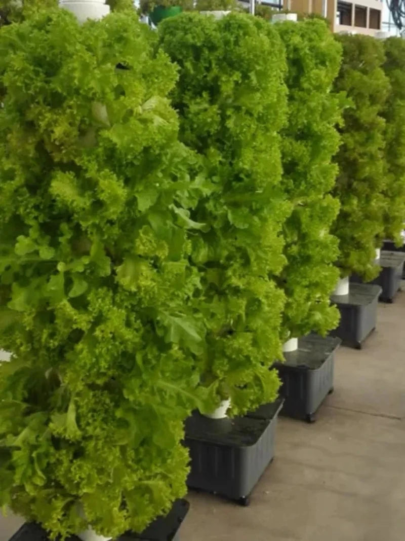 Hydroponic Growing System Garden Garden Indoor Balcony Vertical Tower Planters Soilless Culture Vegetable Grow Pot Kit DIY