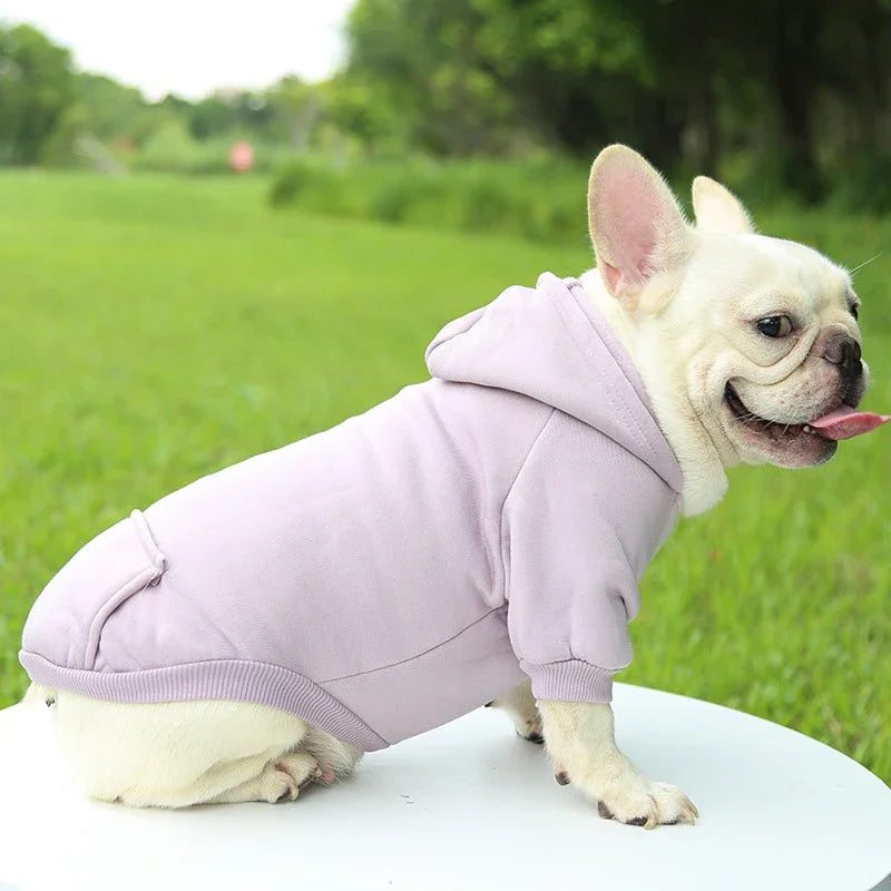 French bulldog wearing a warm, lavender hooded sweater for small dogs, perfect for cozy autumn and winter outdoor walks.