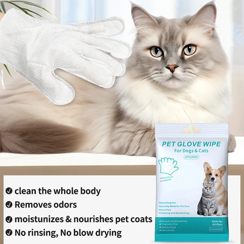 Pet grooming wipe gloves with cat and pet glove wipe packet