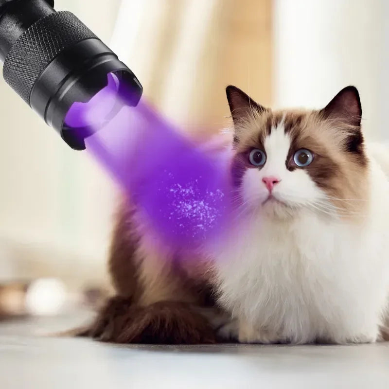 Portable black UV flashlight detecting pet urine stains on a cat, featuring a zoomable black metal design.