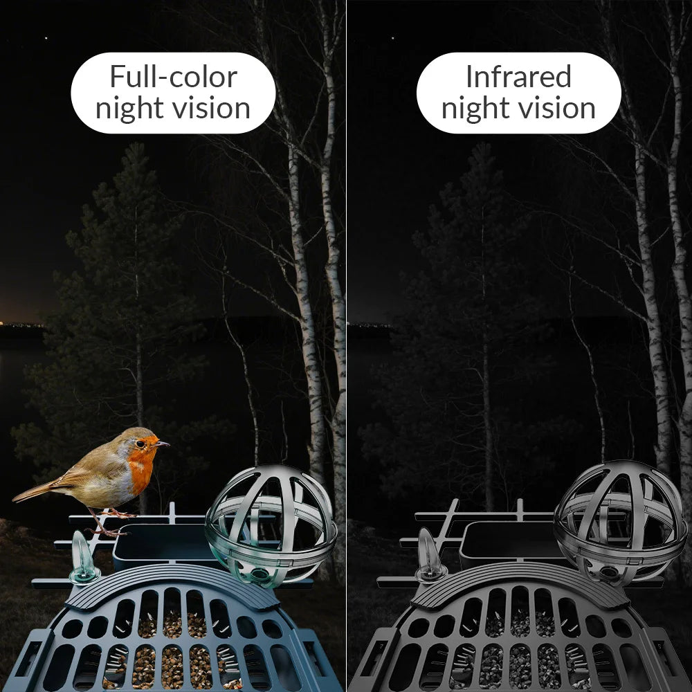 4MP HD Birds Feeder Camera Solar Powered AI Motion BirdWatching Wireless WiFi Camera Wildlife Monitor,Night Vision,Waterproof