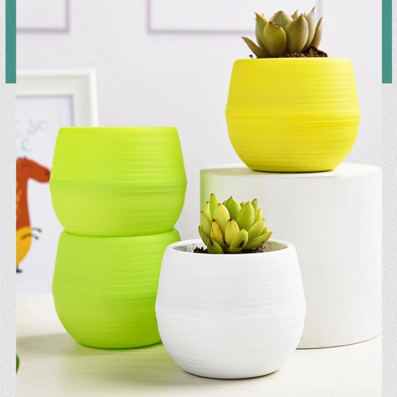 Mini plastic flower pots in lime green and white with a small succulent