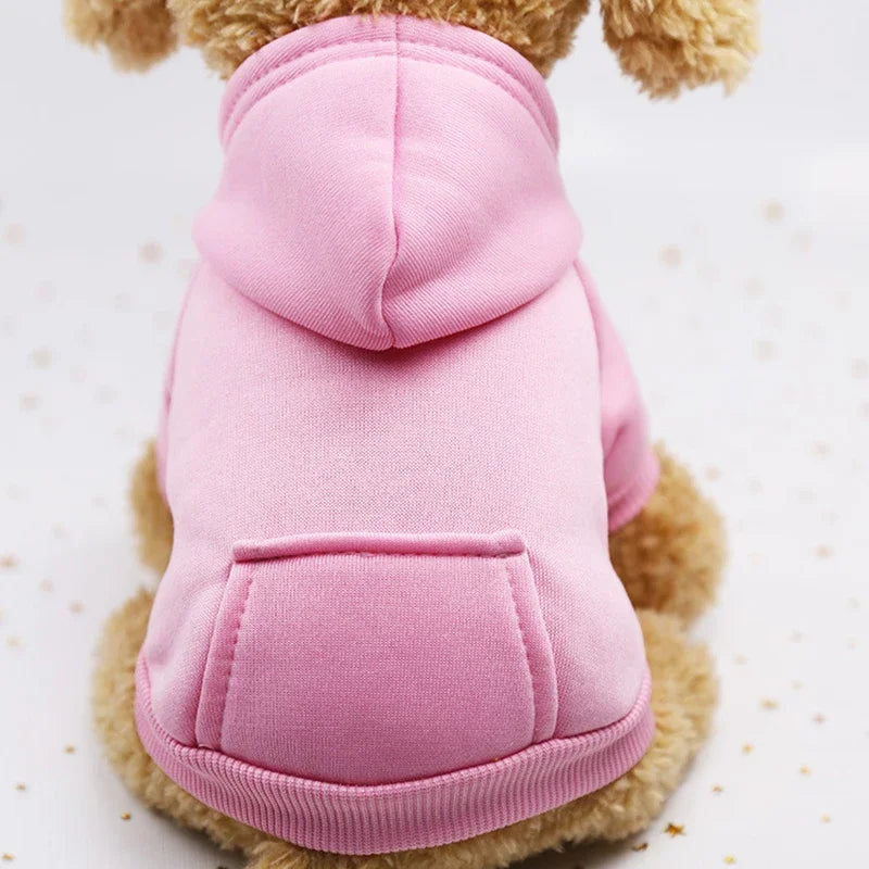 Small dog wearing a cozy, thick pink hooded sweater for warmth during autumn and winter.