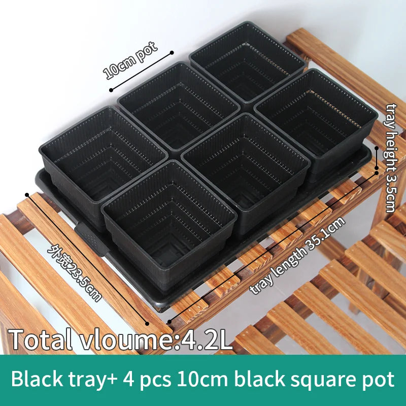 Black drainage tray with four ribbed square succulent pots, raised square compartments