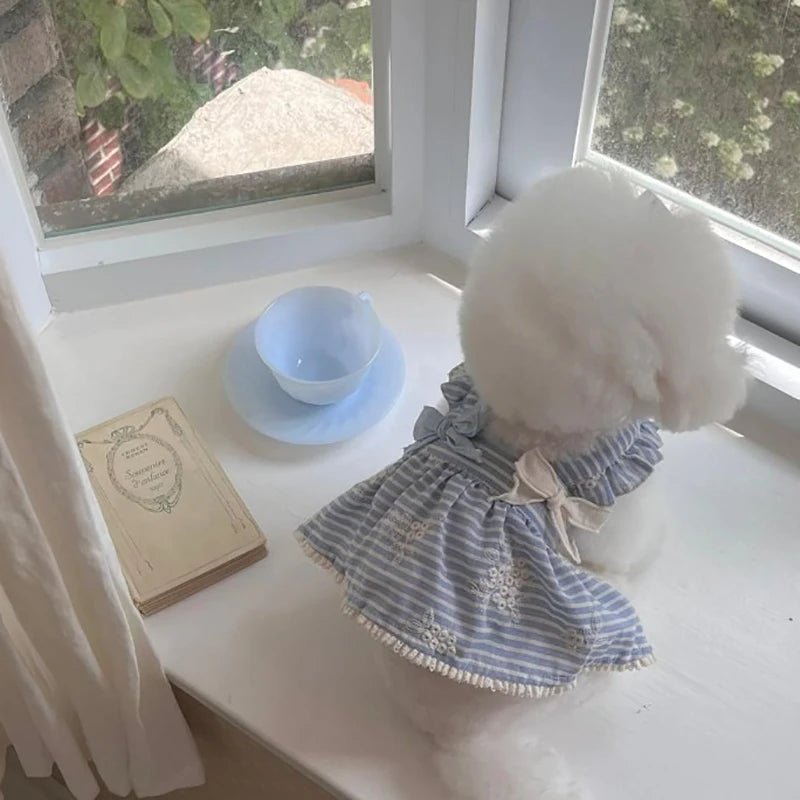 Small dog wearing a cute blue and white striped spring pet skirt with a bow, perfect for stylish summer walks.