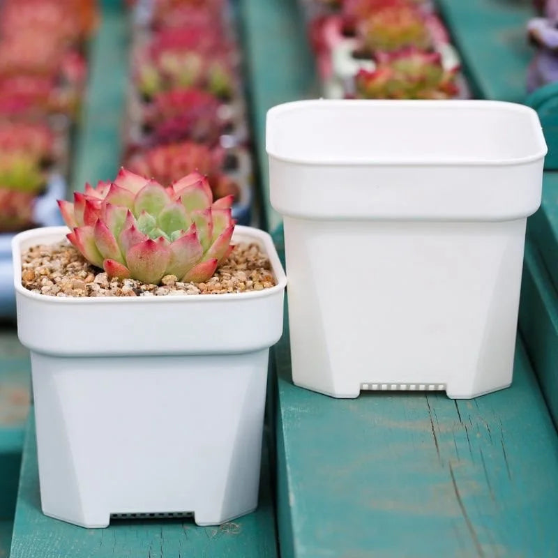 2-5PCS Quality Thicken Flower Pots ，Succulents Plant Square Flowerpots Nursery Grow Container Cactus Pot Planter Garden Supplies